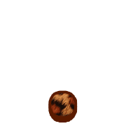 246