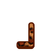 255