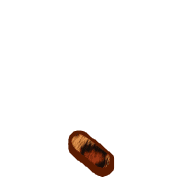 256