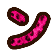 126