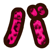 151