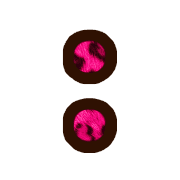 244
