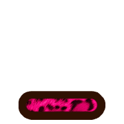 250
