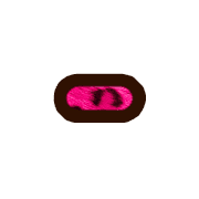251