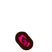 256