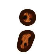 243