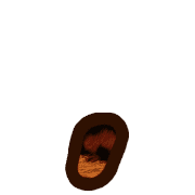 245