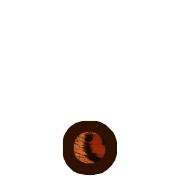 246