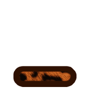 250