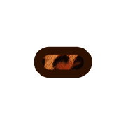 251