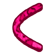 008
