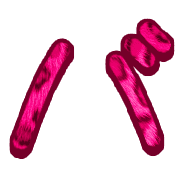 151