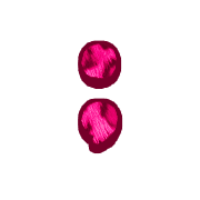 243