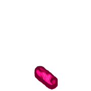 256