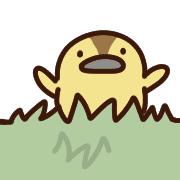 029
