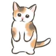 031