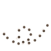 008
