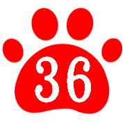 036