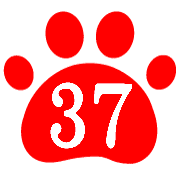 037
