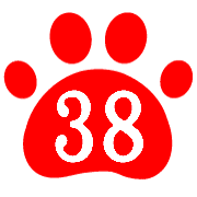 038