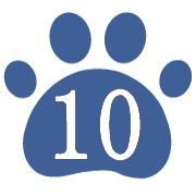 010