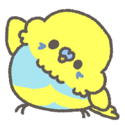 019