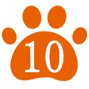 010