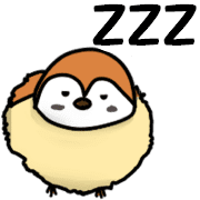 004