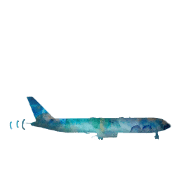 005