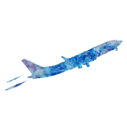 006