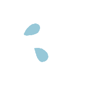 031
