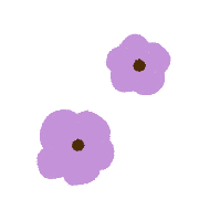 036
