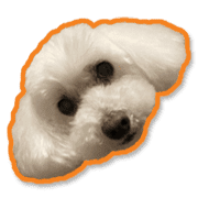 003