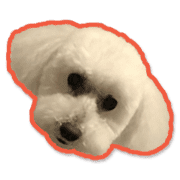 006