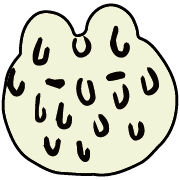 010
