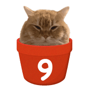 039
