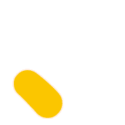 256