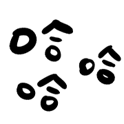010