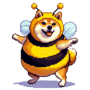 003