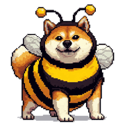 009