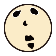 010