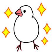 031