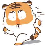 003
