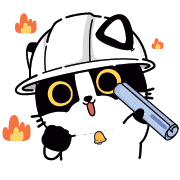 031