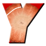 031