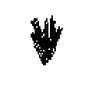 007