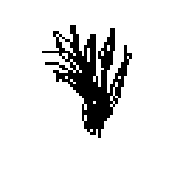 008