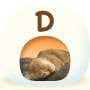 004