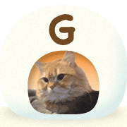 007