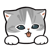 036